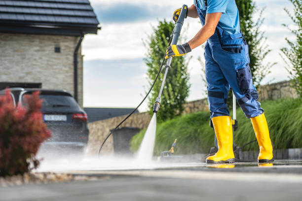Best Fence Cleaning  in Lake Mack Forest Hills, FL
